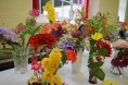 /album/photo-gallery-trefeurig-show/dsc-2836-jpg/